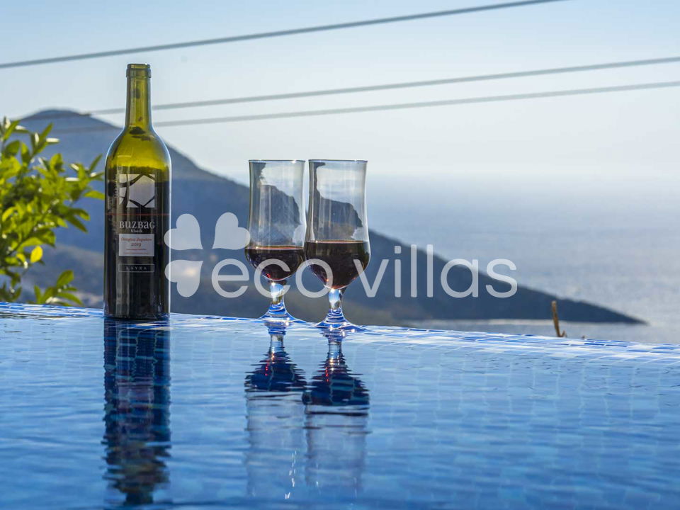 Villa Palmiye 