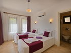 Villa Dionysus 