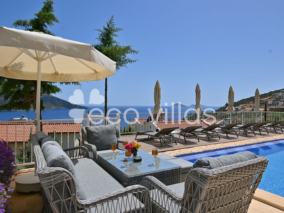 Villa Dionysus 