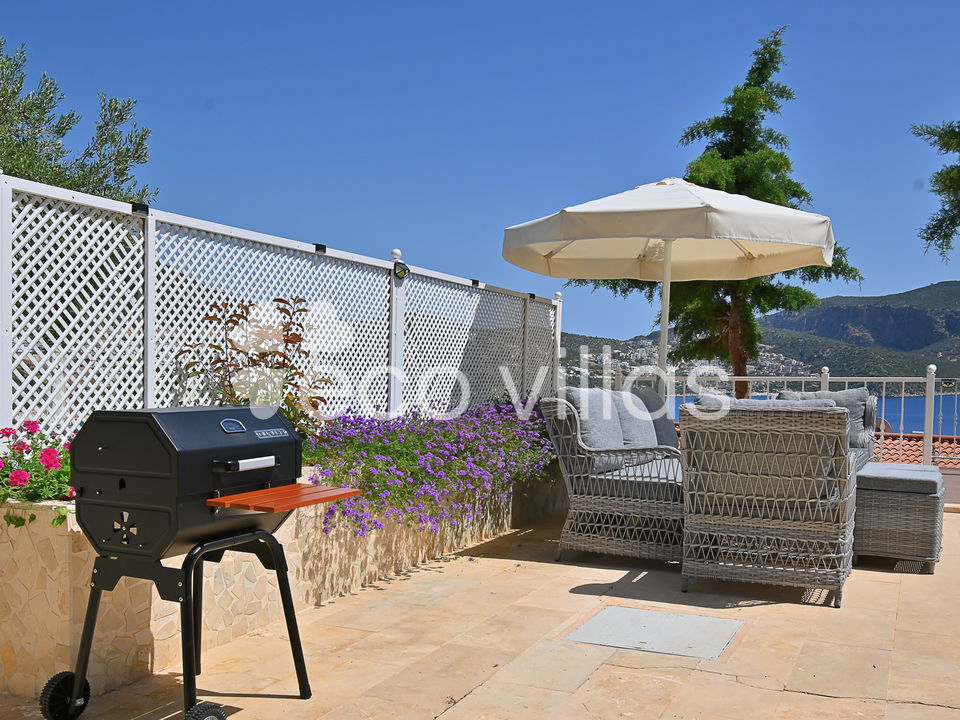 Villa Dionysus 