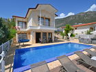 Villa Dionysus 
