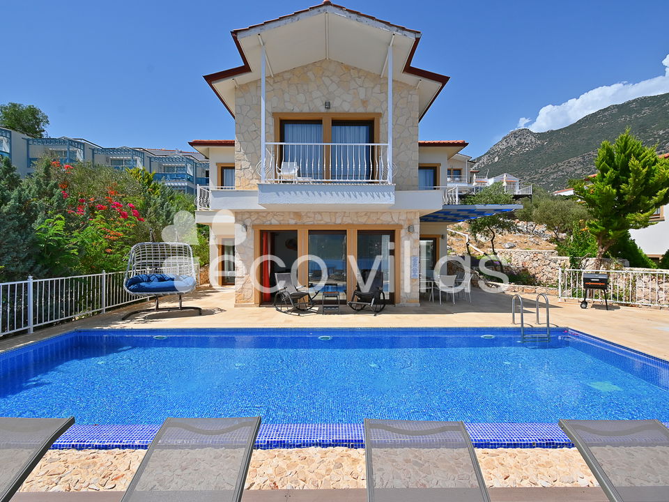 Villa Dionysus 