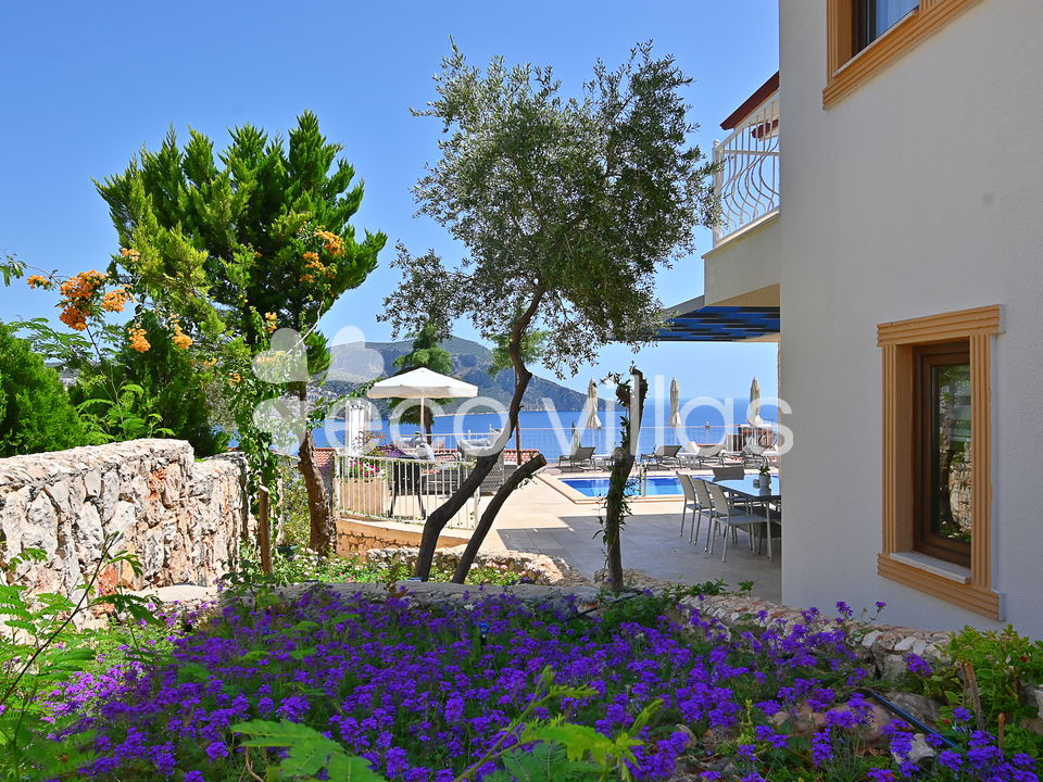Villa Dionysus 