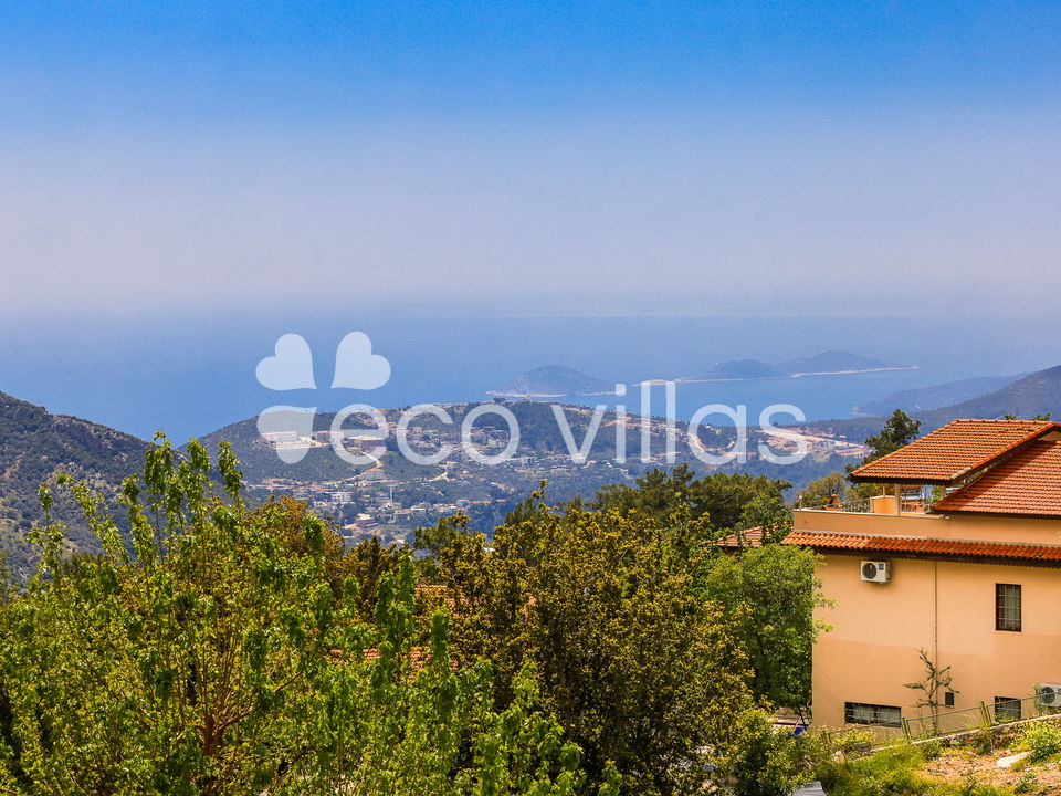 Villa Disney  
