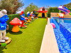 Villa Disney  