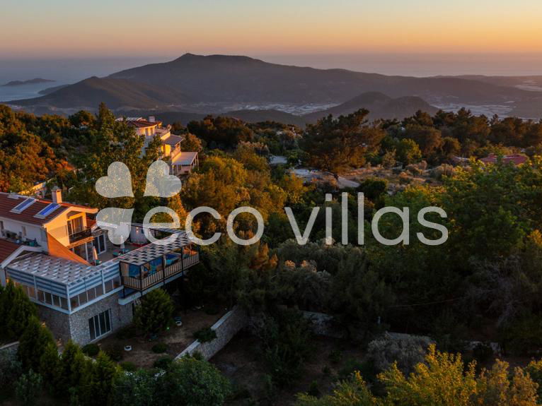 Villa Stella 