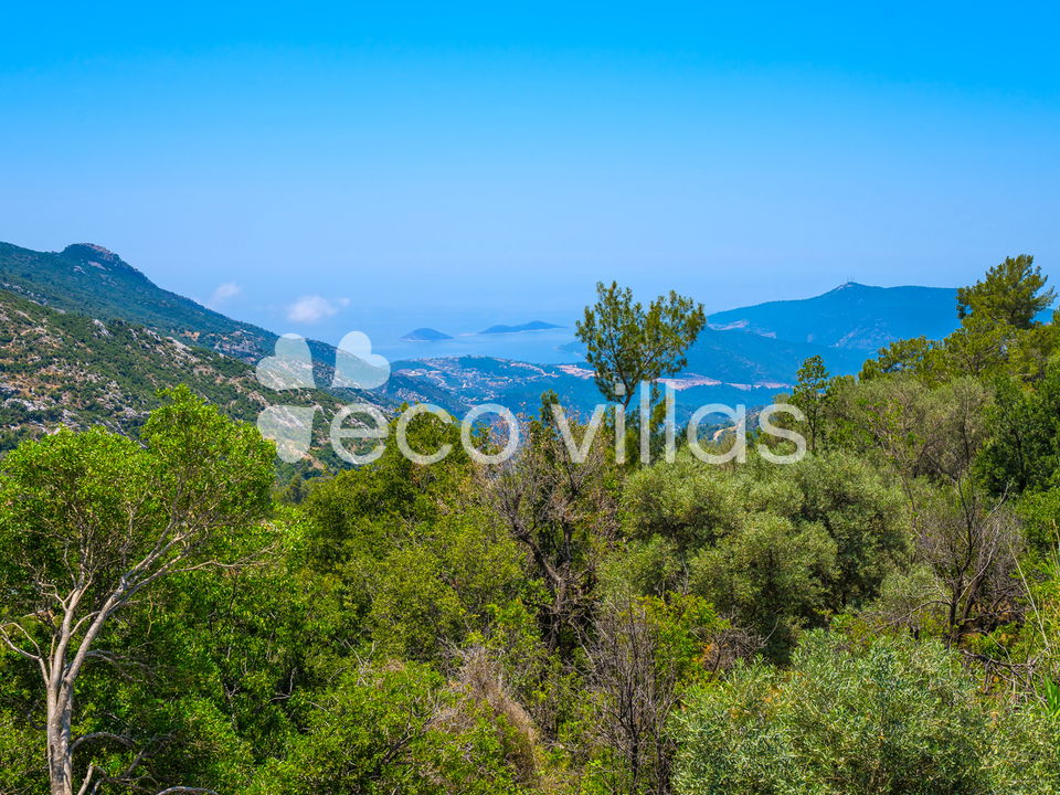 Villa Tamarra 