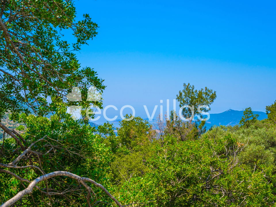 Villa Tamarra 