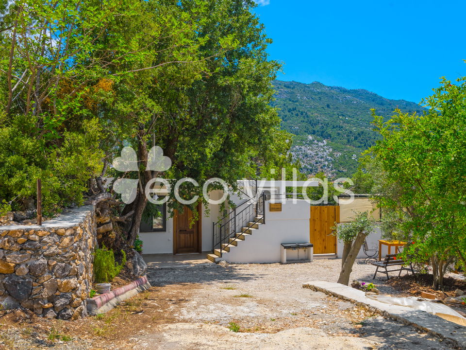 Villa Tamarra 